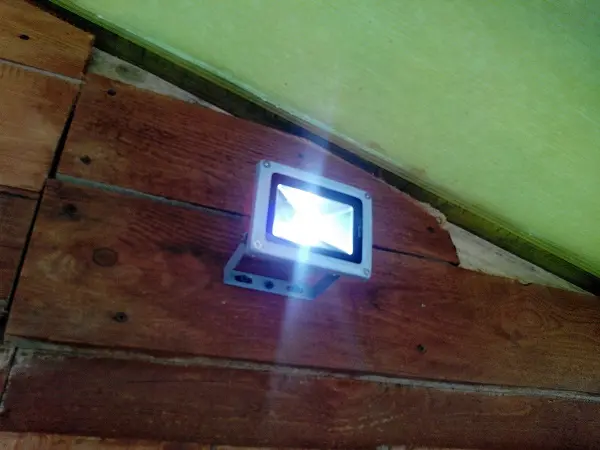 5s